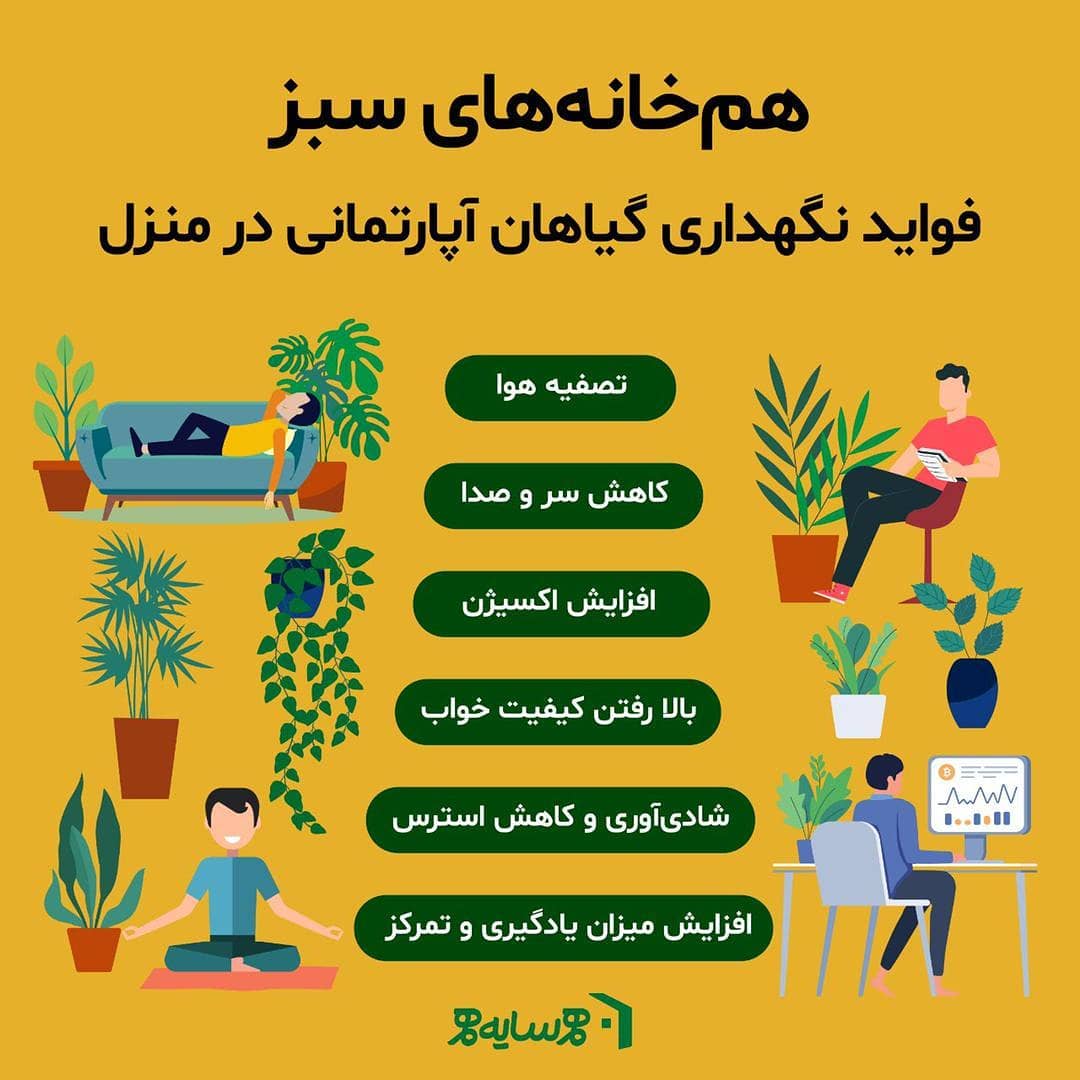 فواید نگهداری گیاهان آپارتمانی در منزل