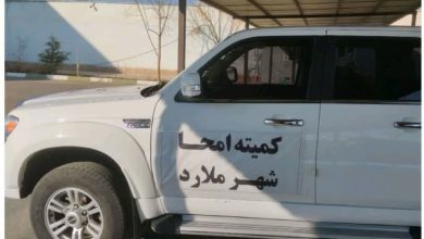 راه اندازی کارگروه امحاء با ۶ خودرو و ۱۰ نیرو در شهرداری ملارد