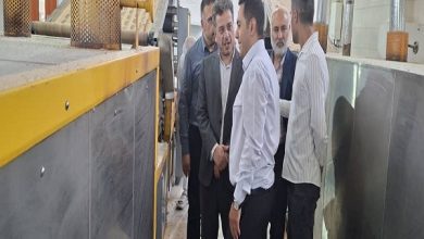 بازدید سرپرست اداره صمت ملارد از دو واحد تولیدی