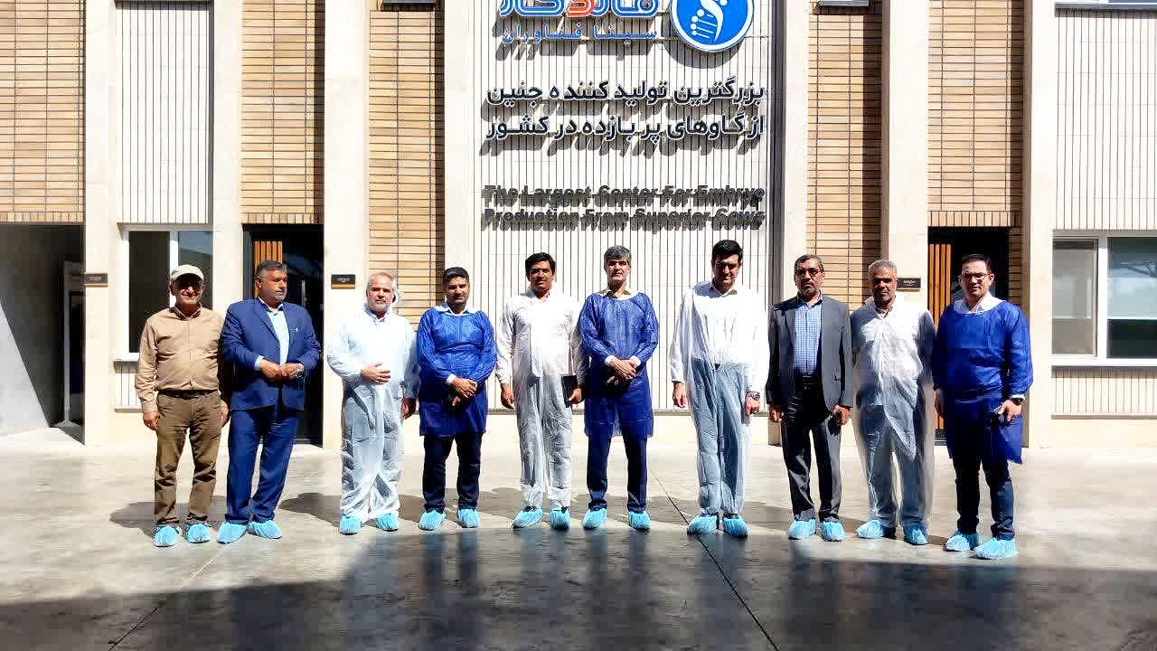 بازدید فرماندار ملارد و مسئولان قضایی از بزرگ‌ترین تولیدکننده جنین گاو در شهرستان ملارد