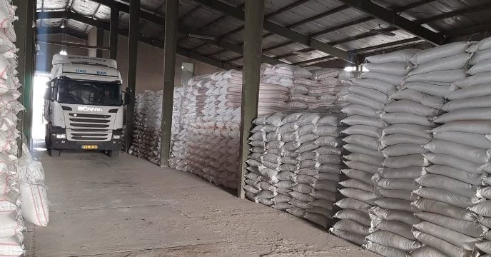 150 تن انواع کودهای کشاورزی دربین کشاورزان شهرستان ملارد توزیع شد