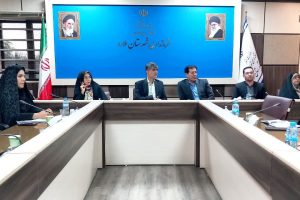 کارگروه ویژه دختران جوان و نوجوان در شهرستان ملارد تشکیل شد