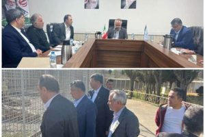 بررسی آخرین وضعیت باغ وحش صفادشت