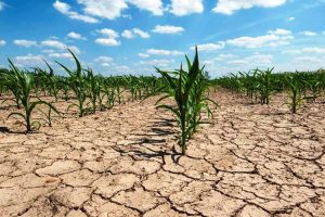 بارندگی های اخیر گرهی از کم ‌آبی ملارد نگشود