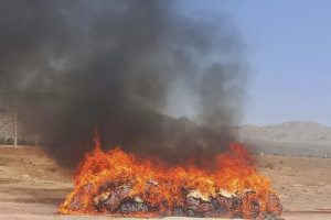 بیش از ۳ تن موادمخدر در شهرستان ملارد امحاء شد