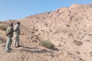 تشدید گشت‌ های ویژه مقابله با شکار و صید غیرمجاز در ملارد