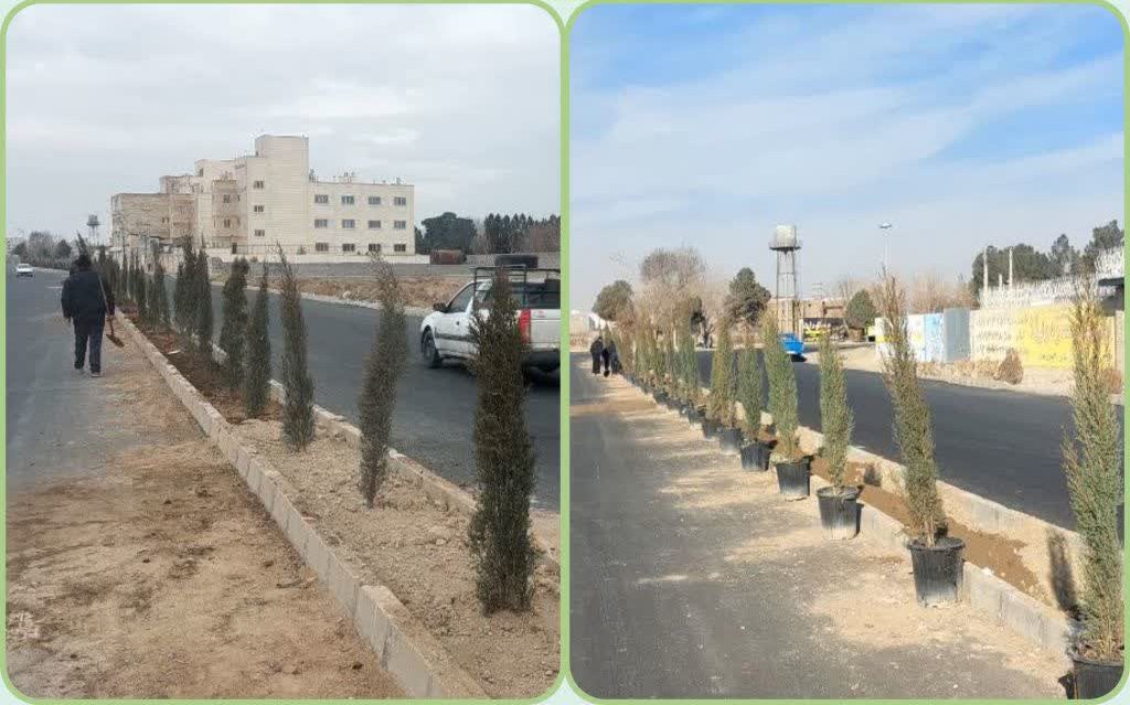 کاشت ۸۰۰ اصله نهال سرو شیراز در راستای تکمیل نهایی بلوار ملاصدرا صفادشت