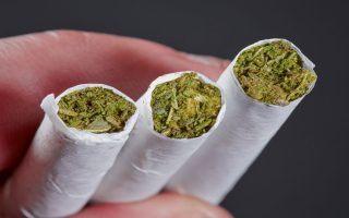 کشف ۴۴ کیلوگرم مواد مخدر گُل توسط پلیس پایتخت در شهرستان ملارد