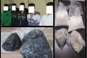 ۲۸۱ خرده فروش موادمخدر در ملارد دستگیر شدند