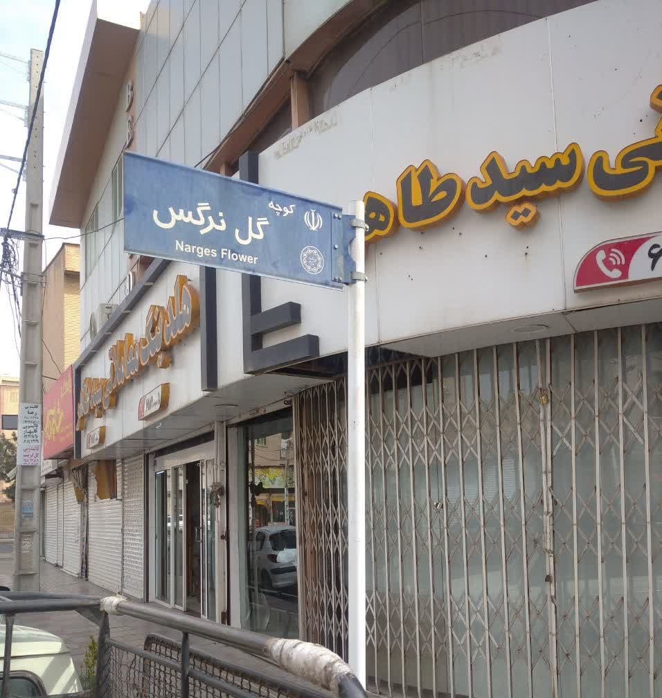تابلو کوچه گل نرگس در خیابان گل مریم مارلیک