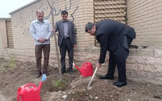 پیوستن اداره محیط زیست ملارد به پویش ملی «سرو ایران» برای گسترش فضای سبز