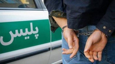 سارق خودرو در حین سرقت در ملارد دستگیر شد