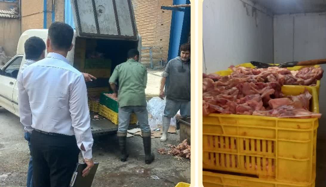 توقیف و معدوم‌سازی ۷۰۰ کیلوگرم اسکلت مرغ فاسد در صفادشت