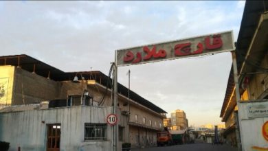 تولید سالانه ۳۲۰۰ تن قارچ در بزرگترین مزرعه قارچ کشور در ملارد