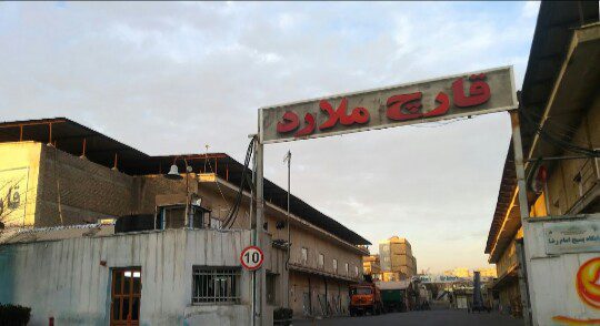 تولید سالانه ۳۲۰۰ تن قارچ در بزرگترین مزرعه قارچ کشور در ملارد