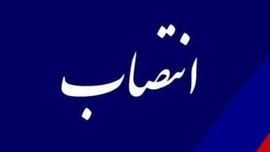 جلیل پورسلیم شهردار ملارد شد