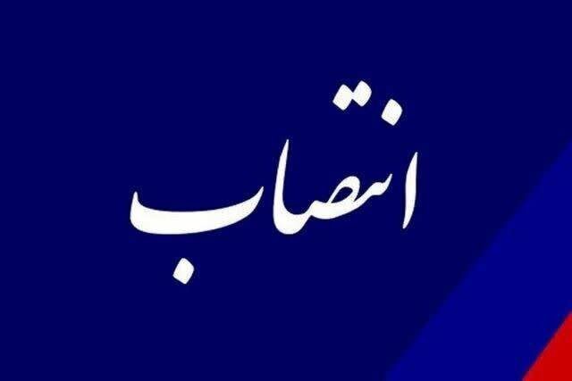 جلیل پورسلیم شهردار ملارد شد