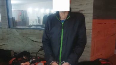 دستگیری سارق مامورنما در ملارد