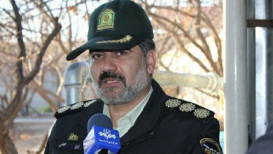 دستگیری ۲ نفر به اتهام قطع شبانه درختان کهنسال در صفادشت ملارد