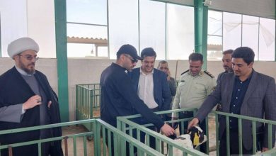 رئیس دادگستری ملارد: نظارت قضایی در خدمت تولید