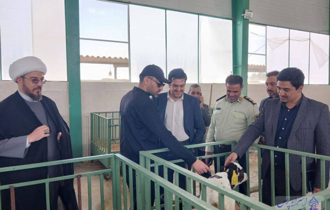 رئیس دادگستری ملارد: نظارت قضایی در خدمت تولید
