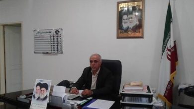 مجتبی شاهقلیان معاون فرماندار ملارد