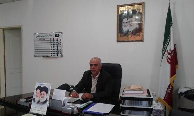 مجتبی شاهقلیان معاون فرماندار ملارد