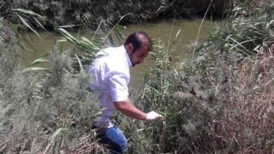 نمونه برداری از رودخانه شور ملارد ؛ نتیجه به فرمانداری رفت