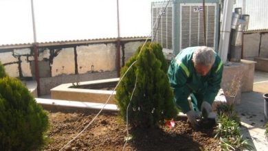 کمبود زمین برای توسعه فضای سبز در منطقه مارلیک ملارد