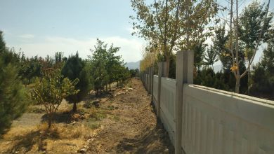 آغاز دیوارکشی باغ عمارت ملارد در سه ضلع به طول ۱۵۰۰ متر