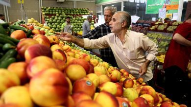 احداث هفتمین بازار روز ملارد با مشارکت بخش خصوصی در زمین یک هزار و ۱۰۰ مترمربعی
