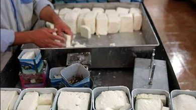 توقیف و پلمب واحد غیرمجاز تولید لبنیات در ملارد