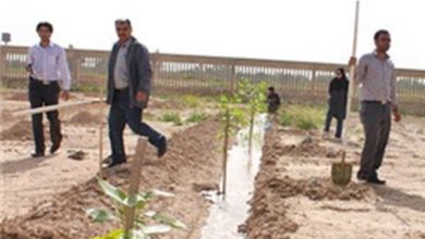 فرماندار ملارد: تسریع در احداث پارک جنگلی دهک ضروری است
