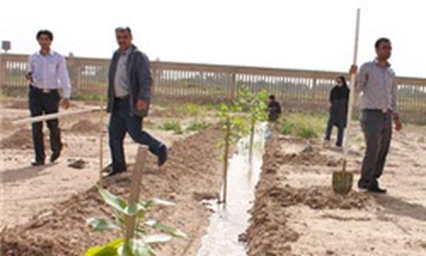 فرماندار ملارد: تسریع در احداث پارک جنگلی دهک ضروری است