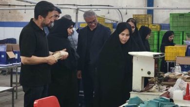 بازدید مدیرکل بنیاد شهید از کارگاه تولیدی ایثارگران در ملارد