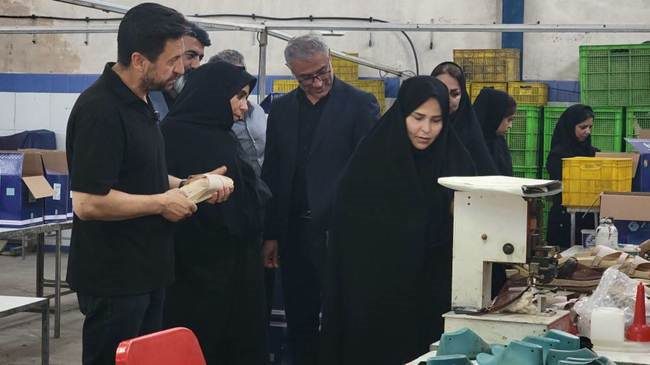 بازدید مدیرکل بنیاد شهید از کارگاه تولیدی ایثارگران در ملارد
