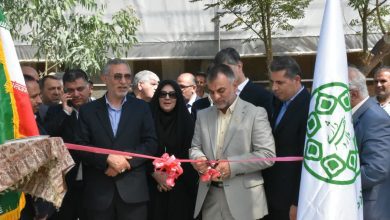افتتاح گلخانه مکانیزه و زمین چمن مصنوعی ملارد در هفته دولت