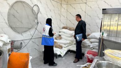 توقیف ۲۰ بسته آرد تاریخ‌گذشته در بازرسی از نانوایی‌های ملارد