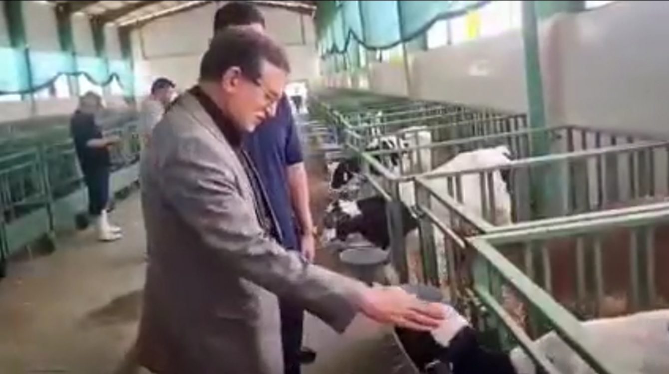 نماینده مجلس ملارد از دامداری ۱۲ هزار رأسی جهان صالح بازدید کرد