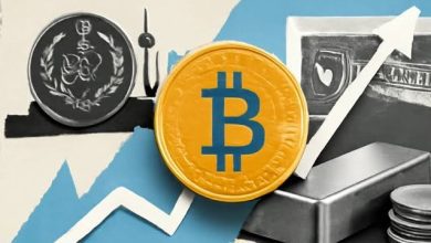 برداشت ریالی نوبیتکس، بیت‌ پین و ارزینجا آزاد شد ؛ وضعیت رمزینکس و تترلند