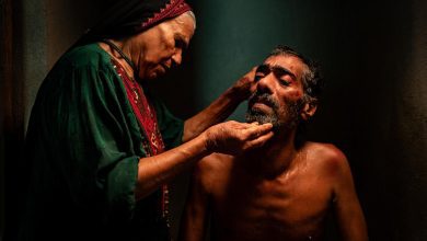 مجید مجیدی و فیلم غذای نیمروز در جشنواره بوسان ۲۰۲۶
