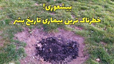 از آدم های بیشعور فاصله بگیریم