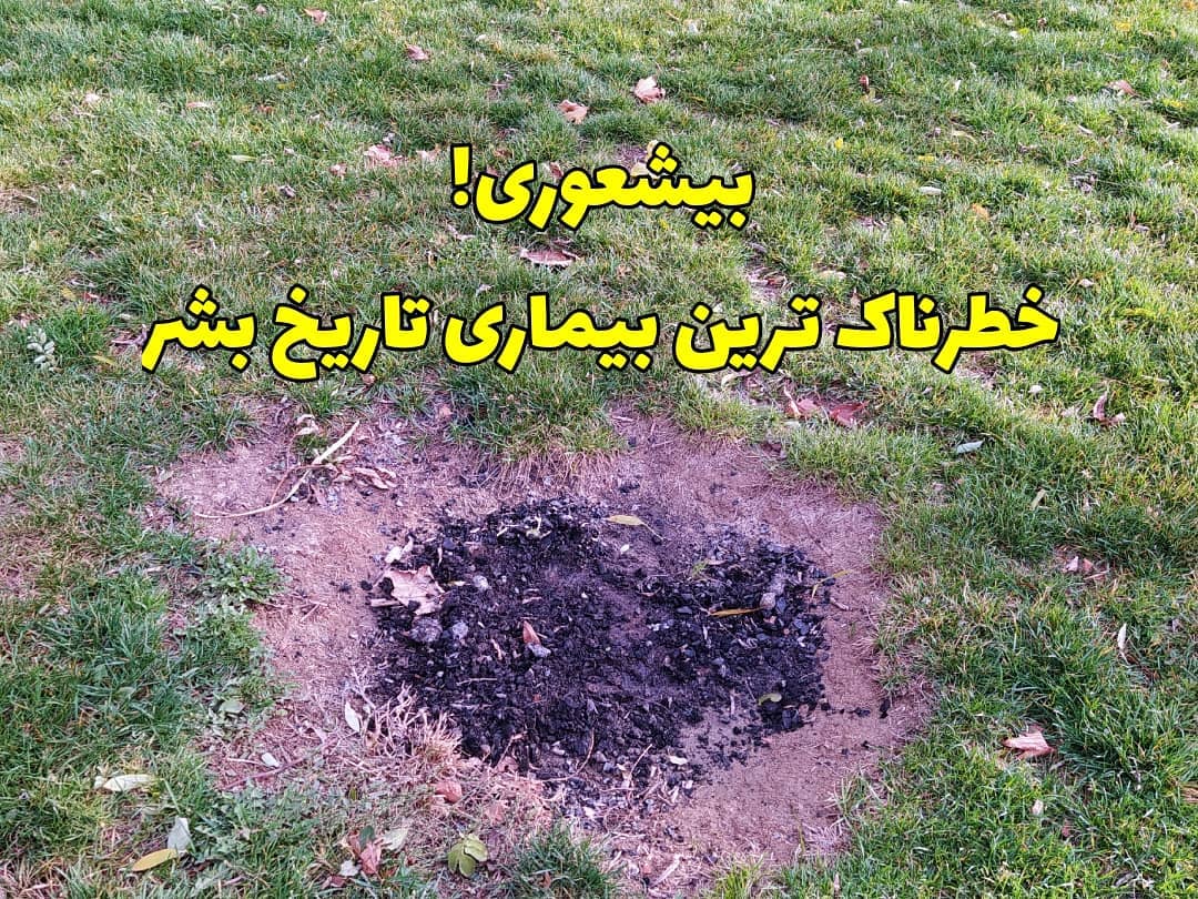 از آدم های بیشعور فاصله بگیریم