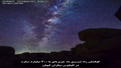 نظر شما کدام جالب ‌تر بود؟ ⁣⁣⁣