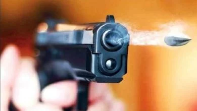 ماجرای تفنگ پلاستیکی در فردیس لو رفت