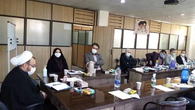 برگزاری کارگاه آموزشی تعلیم و تربیت به مناسبت دهه فجر در شهرستان ملارد