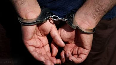 زورگیر فردیسی در شهرستان ملارد دستگیر شد