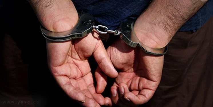 زورگیر فردیسی در شهرستان ملارد دستگیر شد
