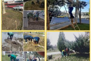 در فصل زمستان حفظ و نگهداری فضای سبز شهر ملارد همچنان ادامه دارد