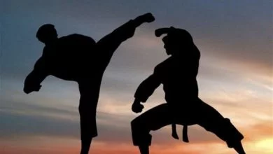 بیش از ۸۰۰ مربی رزمی استان تهران در انتظار کمک ‌های دولت هستند